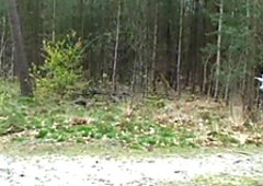Sürtük sarışın mitchell yalama ormanda iki yarraklar